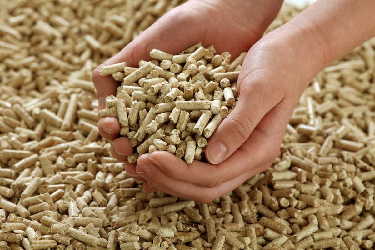 Fabricación de pellets en Noia